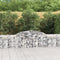 vidaXL - Schanskorven - 13 - st - gewelfd - 300x30x60/80 - cm - gegalvaniseerd - ijzer