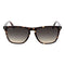 Zonnebril Heren Web Eyewear WE0363 5556B