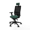Piqueras y Crespo 2D066N2 - Bureaustoel - Hoofdsteun en armleuning - Groen