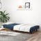 vidaXL - Slaapbank - 2-zits - fluweel - blauw