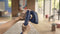 Philips Hippogriff OneTurn - Handheld stoomstrijkijzer - 1800W 45g/min - Blauw