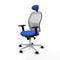 Piqueras y Crespo 2D086N1 - Bureaustoel - Verstelbare hoogte met hoofdsteun - Blauw