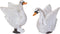 Zwanen set/2