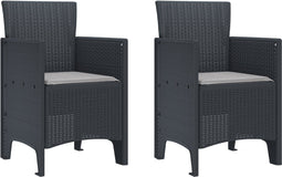 vidaXL - Tuinmeubels - met - Kussens - 2 - stuks - Anthraciet - Poly - Rattan