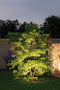 Paulmann Sting - Plug & Shine LED-tuinspot - IP67 3000K 6,4W - Antraciet