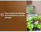 Groentegrond & Aromatische planten - OR BRUN - OBRTARO6U - 6L - Snelle groei