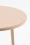 Mica Decorations Adine Plantentafel - H120 x Ø35 cm - Metaal - Lichtroze