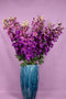 PTMD Delphinium Kunstbloem - 127 x 23 x 130 cm - Kunststof - Paars