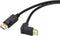 Renkforce SP-9163792 - DisplayPort Aansluitkabel - 2.00 m - 4K 60 Hz - Zwart