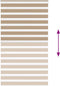 vidaXL - Zebra - Blind - 125x230 - cm - stofbreedte - 120,9 - cm - polyester - zandbruin