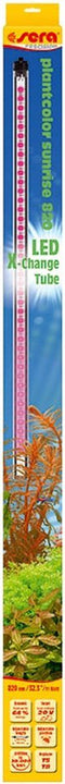 sera LED X-Change Tube plantcolor sunrise360-450 mm1 st (4,3 W)