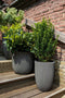 Capi Europe - Vaas elegant laag Groove NL - 34x46 - Ivoor - Opening Ø27 - Bloempot voor binnen en buiten - Levenslang garantie - Breukbestendig - 100% Recyclebaar - CO2 Neutraal geproduceerd - KGVI782
