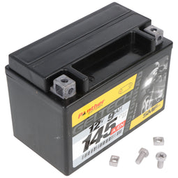 Panther 50812 - Gel accu - 12V 8Ah 80A - Japan CTX9-BS