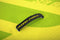 Hydro Force Sea Breeze Opblaasbaar SUP Board - 305 cm