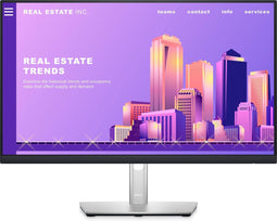 Dell P2422H - Full HD IPS Monitor - 24 Inch - 60Hz