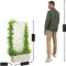 Mica Decorations Sapri - Plantensteun - Plantenbak met Klimrek - Offwhite