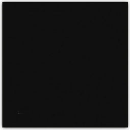 Hygienic Reusable Fabric Mask Adult