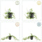 Plants by Frank | 12 Paarse Maagdenpalm planten | Vinca minor 'Atropurpurea' | Winterharde bodembedekker planten | tuinplanten | Winterharde vaste planten meerjarig | Winterharde tuinplanten