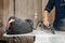 Hyundai Electronics - Iron with Steam Generator - Steam Iron - 2600 Watt