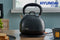 Hyundai – waterkoker –1.7L – Retro design – Donker grijs