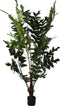 Silk-ka Kunstplant voor Binnen Palm Caryotis Mitis Groen 152 cm