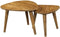 Salontafels Sara - salontafel mangohout - bijzettafel - salontafel