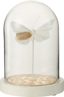 J-Line decoratie Stolp Vlinder + Puntjes - glas - wit/goud - small