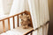 Jollein Baby Klamboe - 155 cm - Leafy Dreams - Ivory