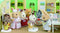 Sylvanian Families 5096 streekdokter