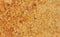 I am chicken poeder - Default Title