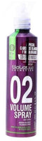 Volumegevend Spray Root Lifter Salerm - Haarspray - 250 ml