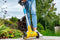 Gloria Metalen borstel - Reserveborstel voor Multibrush en Weedbrush - Handmatig - 5 cm x 1 cm x 5 cm