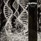 Coroner Dissonance Theory - LP 180g vinyl - 10 nieuwe nummers