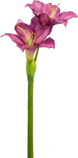 J-Line bloem Amarylis - kunststof - paars - 6 stuks