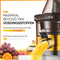 Niceey Slowjuicer - Sapcentrifuge - Juicer - 900 ML - Groenten en Fruit Sap - Met Pulpcontainer - BPA-Vrij - Zwart