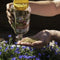 Pokon Terras & Balkon Planten Voedingskorrels - 800 g - Osmocote - Tot 180 dagen voeding