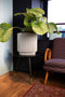 Capi Europe - Vaas cilinder Groove NL - 35x38 - Antraciet - Opening Ø29 - Bloempot voor binnen en buiten - Levenslang garantie - Breukbestendig - 100% Recyclebaar - CO2 Neutraal geproduceerd - KGVZ882
