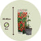 Plant in a Box - Thunbergia alata 'Arizona Rood' - Set van 3 - Rode Bloeiende klimplanten - Pot 9cm - Hoogte 25-40cm