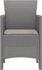vidaXL - Tuinmeubels - met - Kussens - 4 - stuks - Lichtgrijs - Poly - Rattan