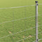 vidaXL - Veldhek - 1x25 - m - Gegalvaniseerd - Staal