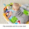 Fisher Price - 2-in-1 Activity Gym