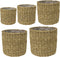 Ter Steege Plantenmand Zeegras Naturel-Beige D 38 cm H 33 cm Opening 34 cm