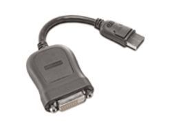 Lenovo - DisplayPort naar DVI-D Verloopkabel - 20cm zwart