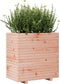 vidaXL - Plantenbak - 70x40x72 - cm - massief - douglashout