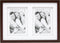 Deknudt Frames multifotolijst - bruin - passe-partout - 2 foto's 10x15