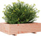 vidaXL - Plantenbak - 90x60x26,5 - cm - massief - douglashout