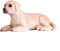 Mojo Farmland Labrador Puppy - 387272