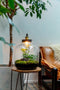 Growing Concepts Hebe Lamp 47cm / 34cm / Botanisch