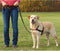 Trixie Lead'N'Walk Soft Tuig - Hondenharnas - Zwart 65-105/25 Cm