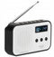 RADIO-ADLER AD1907 - Draagbare radio - PLL AM/FM digitale ontvangst - Wit/Zwart